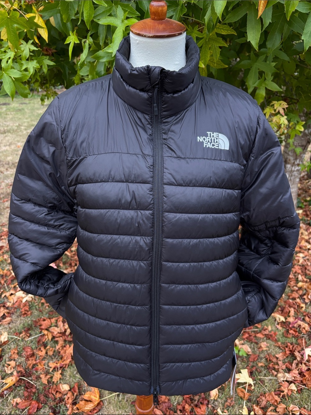 The North Face Terra Peak Jacket